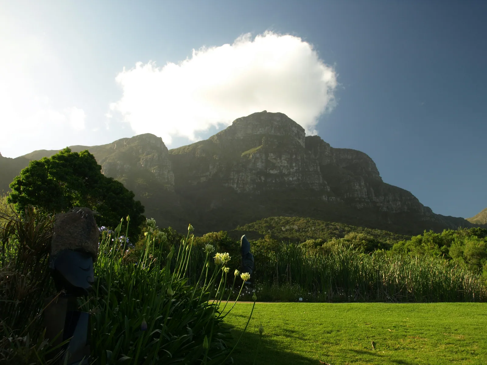 The green ground below Devil's Peak, Newlands